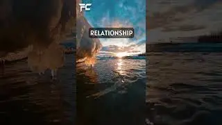 Psychology Facts: A Deep Dive into Relationships #behavioralfascination #fact #strongrelationships