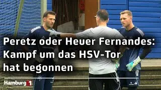 Daniel Peretz oder Daniel Heuer Fernandes: Welchen Torh&uuml;ter w&uuml;nschen sich die HSV-Fans im Tor?