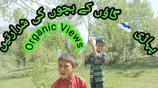 Pahari Gawun Ke Bachay | Village Boys | Tathir GBvlog #villagelifestyle