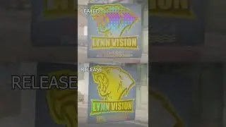 Lynn Vision PGL Copenhagen 2024 Leaked Sticker Comparison #csgo  #counterstrike2 #cs2 #pglmajor