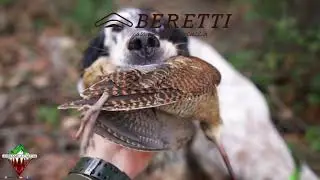 Caccia alla beccaccia con il Beeper 2000 xp
