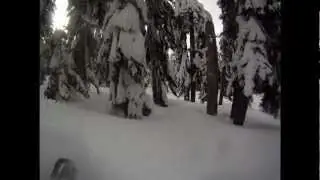 Tree banging