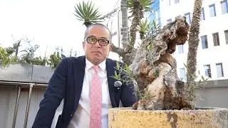 【新年のご挨拶】2026年も田端信太郎を宜しくお願いいたします。〜オリーブの古木のように新芽のように〜