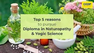 Top 5 Reasons to Pursue Diploma in Naturopathy & Yogic Science Course | CEDP Skill Institute