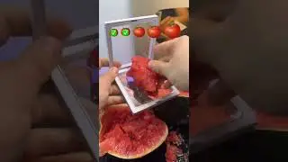 Tomato Evolution 🍅