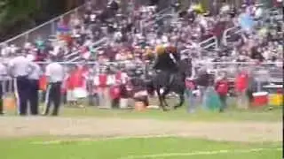 Sleepy Hollow High School Headless Horseman Mascot