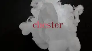 CHESTER  TITLES