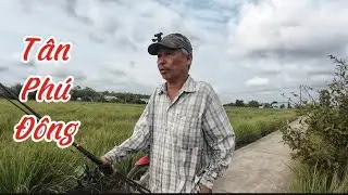 Tân Phú Đông đang vào mùa khô...Bảy Nguyễn Fishing 