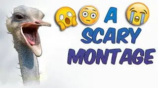 A SCARY MONTAGE!!