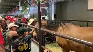 Wow,,,rumah Suku Indian, suku asli Kanada