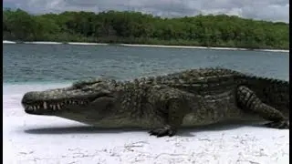 TRILOGY OF LIFE - Prehistoric Park - 
