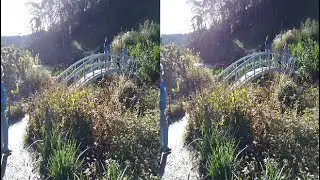 3D Trebah Gardens   November 2025