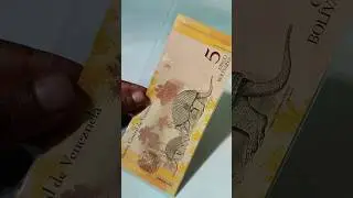 Colorful currency, Venezuela. fancy note