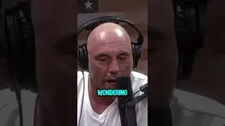 Loser Mentality | Joe Rogan