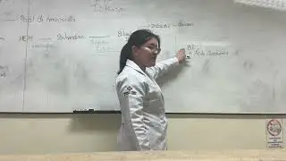 CICLO DE BILIRRUBINA PARTE 2