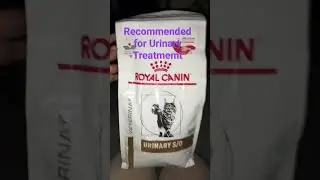 cat food for urinary problem #shortvideo #catshorts #cat #catsoftiktok #cats #catsofinstagram #pet