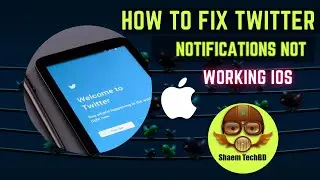 How to Fix Twitter Notifications not Working After Updates ios