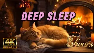 Anna's Deep Sleep No.2  | Cat Purring by the Fireplace (8 Hours, 4K) #ambience #relaxing #asmr #cozy