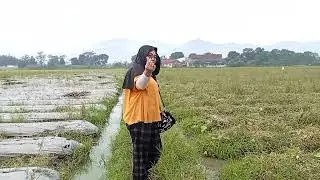 Cuci mata lihat pesawahan#fyp#beranda#pesawahan 