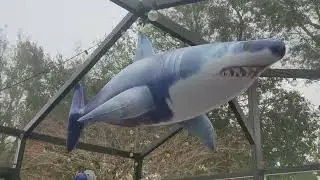 ILEISURELY Extra Large Inflatable Shark Pool Toy,79inch Shark Pool Birthday Party Decorations Review