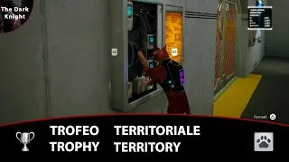 Stray: Trofeo 