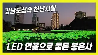 LED 연꽃으로 물든 강남 도심속 천년 사찰🏵️봉은사 | Bongeunsa Temple, a thousand-year-old temple in the heart of Gangnam
