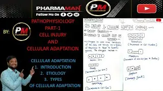 PART-1 CELL INJURY & ADAPTATION || CELLULAR ADAPTATION || TYPES || PATHOPHYSIOLOGY || PHARMACY