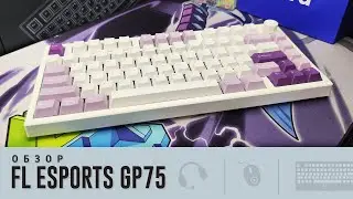 FL Esports GP75. Яркий дизайн и классная начинка за 8к
