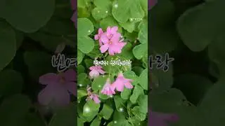 #빈예서#신기루사랑