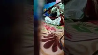 vid lakshman nada swara (September sama 2021festival dedicated to Indian defence forces)