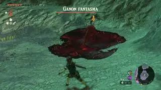 Phantom Ganon - 10 Perfect Dodge in a Row