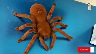 Powerful RC Robotic Spray Spider Unboxing & Testing Chatpat toy tv