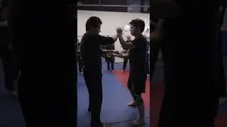 Wing Chun Chi Sao | Sifu Francis Fong