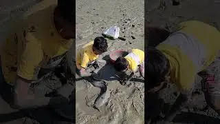 catfish catching from under muddy pond #fishing #fishingvideo #fish