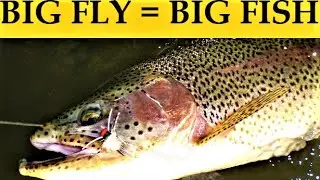 Fly Fishing for Beginners - How to Choose the Right Large Dry Fly Patterns - Fly Fishing Basics