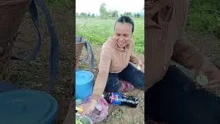 Bữa cơm ngày đi làm ruộng