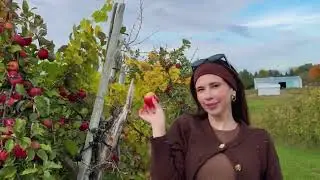 Aesthetic Apple Picking Vlog 🍎 | Cozy Fall Day in My Life