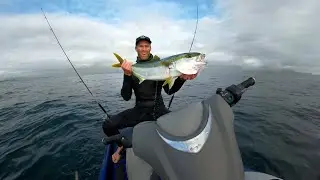 Fishing Cape Yellowtail from a Jetski near Robben Island in Cape Town South Africa
