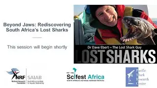 SAIAB Seminar Series: Beyond Jaws - Rediscovering South Africa&rsquo;s Lost Sharks with David A. Ebert