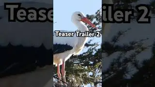 Teaser Trailer 2 | The Planet We Call Home  #documentary #nature #science #trailer #animals