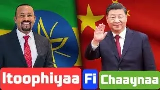 Itoophiyaan chaaynatti giddu gala bunaa banatte. Oduu arraa. Breaking news. Ethiopia. ONE KEE MEDIA.