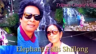 Shillong City to Cherrapunji//Elephant fall Three Steps View