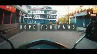 Hope for paws||Barpeta Road||lockdown||feeding the voiceless|| donate for a cause