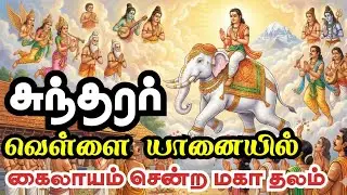 Sundarar's White Elephant and the Path to Kailash