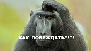 КВ D4TH КИТАЙСКИЙ ИПТЕК??!?