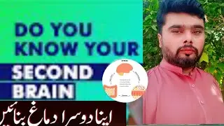 Second Brain (ENS): Functions, Serotonin-Boosting Foods, Mood Enhancers, Precautions & What to Avoid
