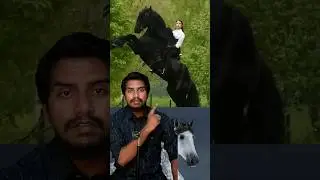 🐎WORLD'S MOST EXOTIC HORSES You've Never Seen?  // Sri info (Tamil)