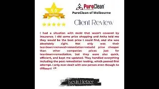 Mold Remediation Made Easy in Melbourne!