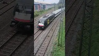 Einfahrt des TRI RB 37 Richtung Krefeld Hbf am 30.07.2024 Oppum bf #d&uuml;wag #tri #taurus