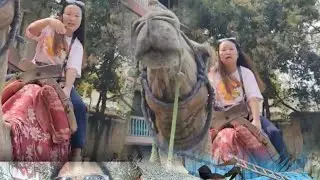 Camel Right for the First Time | Pure Joy 😊 